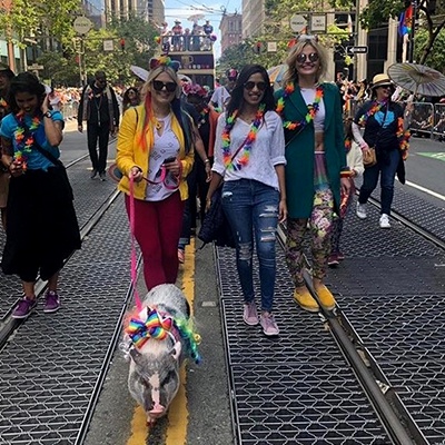 SF Pride Shanti/PAWS Contingent