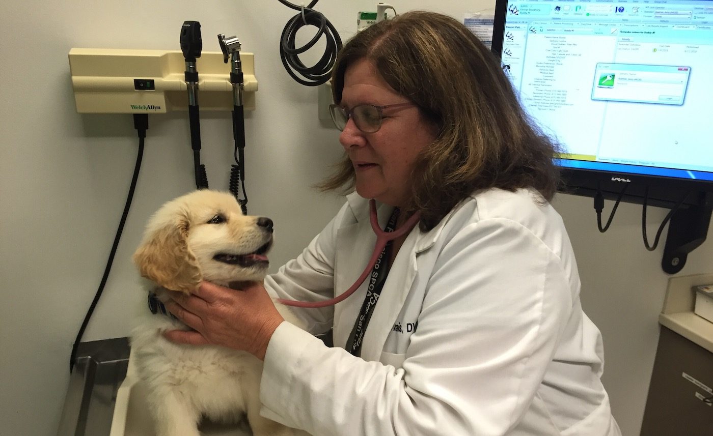 Dr. Kathy Gervais Shanti Project Pets Are Wonderful Support