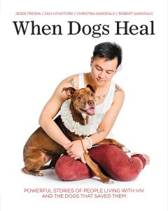 When Dogs Heal book cover